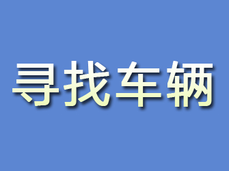 金家庄寻找车辆