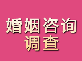 金家庄婚姻咨询调查